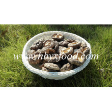 No Pollution Organic Dried Shiitake Mushroom Dried Mushroom
